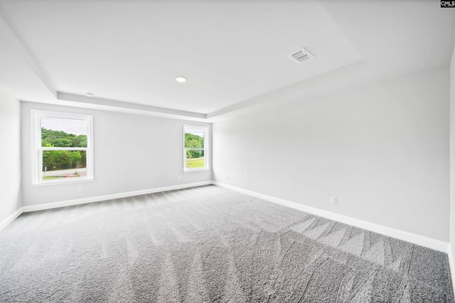 6 Borland Court, Chapin, SC 29036