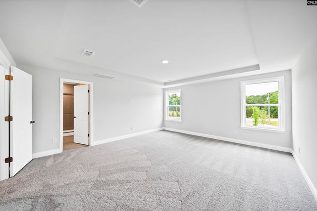 6 Borland Court, Chapin, SC 29036
