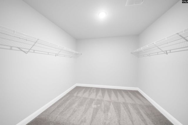 6 Borland Court, Chapin, SC 29036