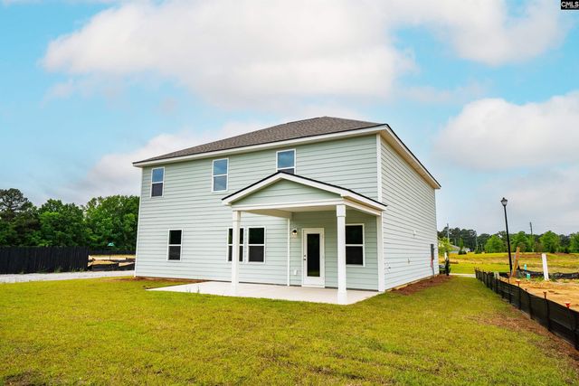6 Borland Court, Chapin, SC 29036