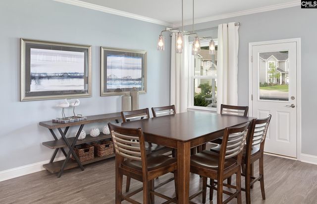 6 Borland Court, Chapin, SC 29036