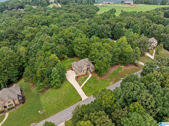 8130 CARRINGTON DRIVE, Trussville, AL 35173