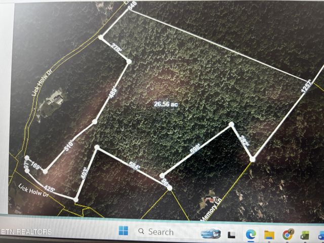 850 Lick Hollow Drive, Grandview, TN 37337