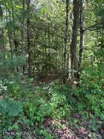 850 Lick Hollow Drive, Grandview, TN 37337