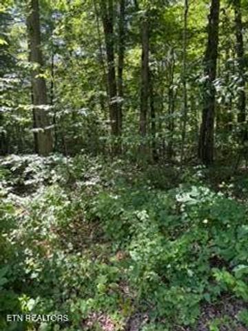 850 Lick Hollow Drive, Grandview, TN 37337