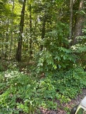 850 Lick Hollow Drive, Grandview, TN 37337