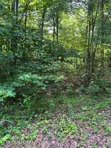 850 Lick Hollow Drive, Grandview, TN 37337