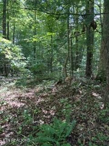850 Lick Hollow Drive, Grandview, TN 37337