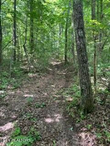 850 Lick Hollow Drive, Grandview, TN 37337