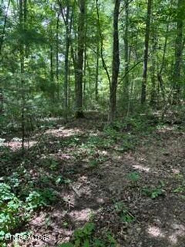 850 Lick Hollow Drive, Grandview, TN 37337