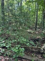 850 Lick Hollow Drive, Grandview, TN 37337