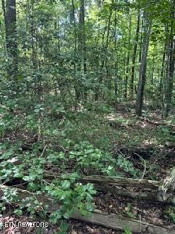 850 Lick Hollow Drive, Grandview, TN 37337