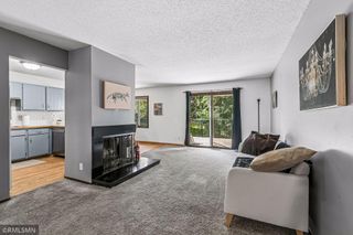 4384 Arden View Court, Arden Hills, MN 55112