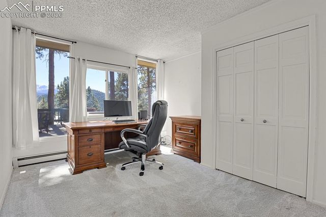 240 Sun Ridge Court, Woodland Park, CO 80863