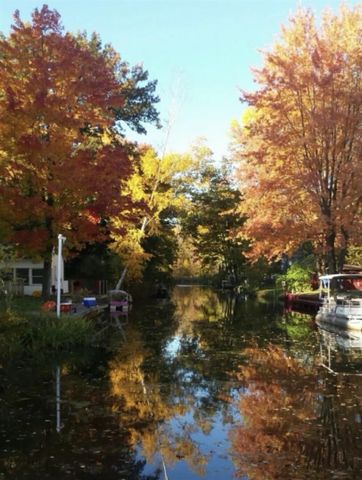 11482 Lakeshore Drive, Lakeview, MI 48850