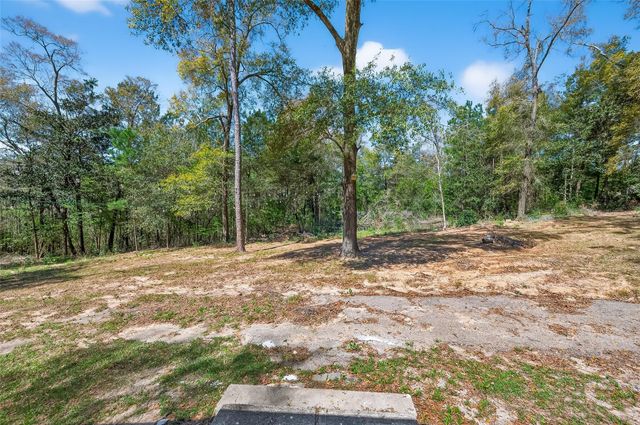 154 Lakeview Drive E, Livingston, TX 77351