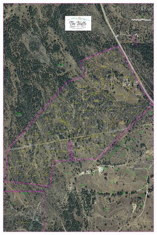 181 Kadens BLF, Round Mountain, TX 78663