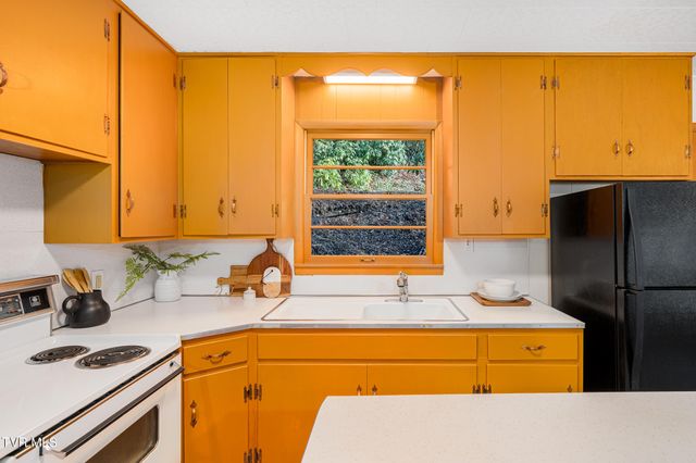 144 Ripshin Lake Road, Roan Mountain, TN 37687