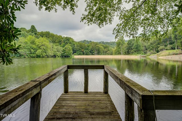 144 Ripshin Lake Road, Roan Mountain, TN 37687