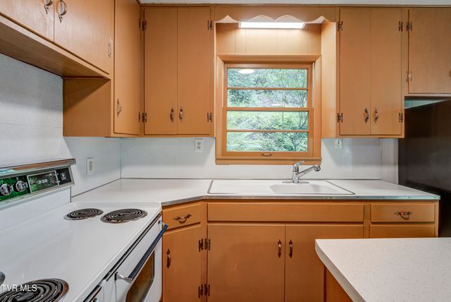 144 Ripshin Lake Road, Roan Mountain, TN 37687