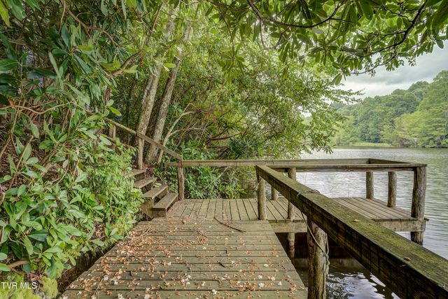 144 Ripshin Lake Road, Roan Mountain, TN 37687