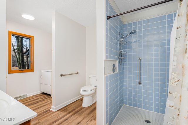 144 Ripshin Lake Road, Roan Mountain, TN 37687