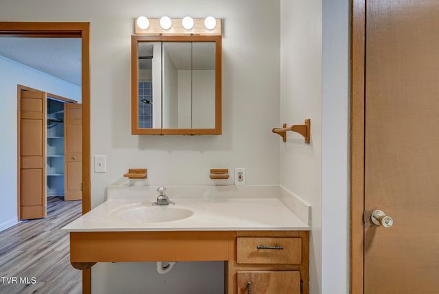144 Ripshin Lake Road, Roan Mountain, TN 37687