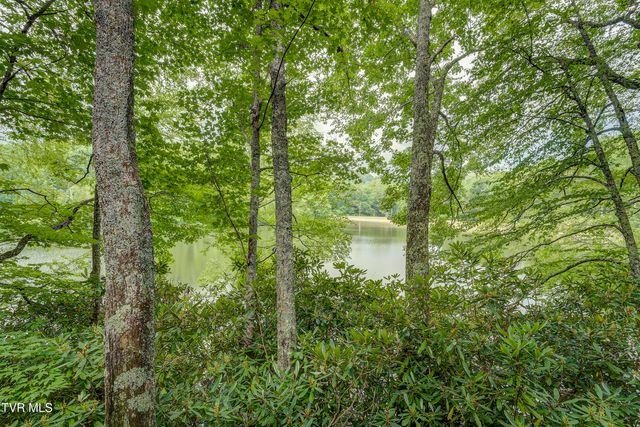144 Ripshin Lake Road, Roan Mountain, TN 37687