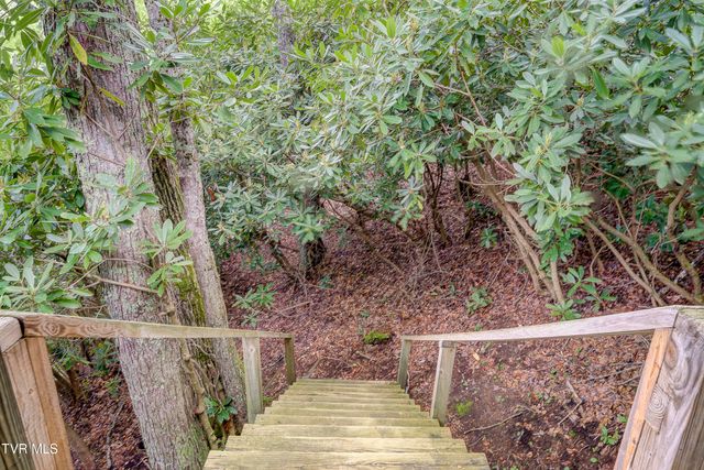 144 Ripshin Lake Road, Roan Mountain, TN 37687