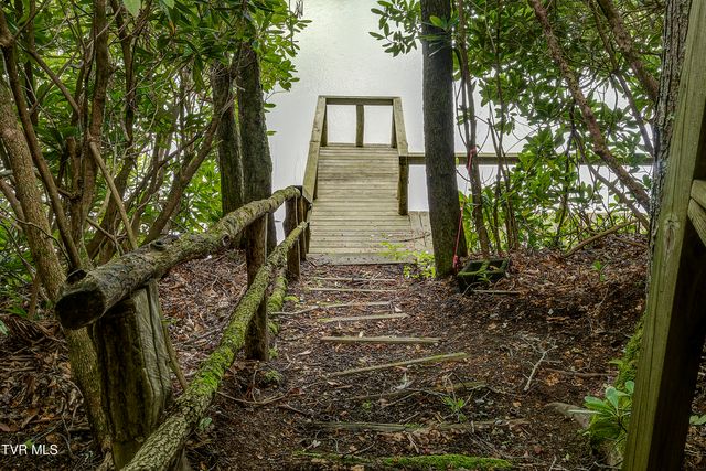 144 Ripshin Lake Road, Roan Mountain, TN 37687