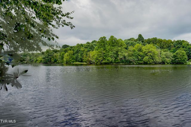 144 Ripshin Lake Road, Roan Mountain, TN 37687