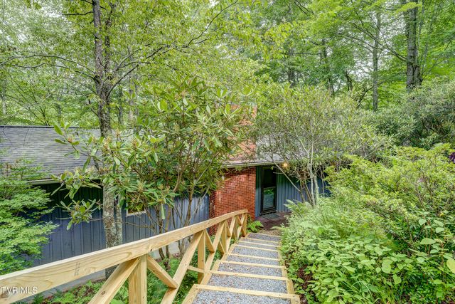 144 Ripshin Lake Road, Roan Mountain, TN 37687