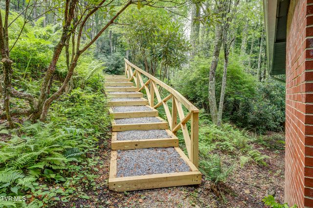 144 Ripshin Lake Road, Roan Mountain, TN 37687