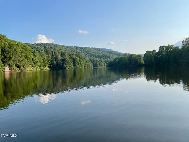 144 Ripshin Lake Road, Roan Mountain, TN 37687