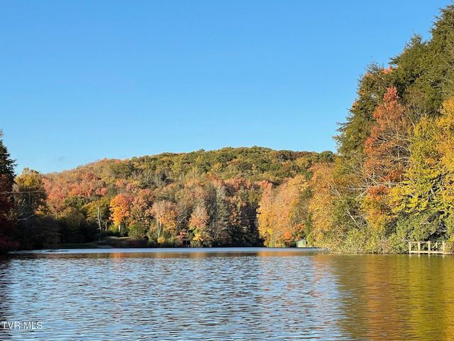 144 Ripshin Lake Road, Roan Mountain, TN 37687