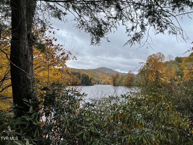 144 Ripshin Lake Road, Roan Mountain, TN 37687