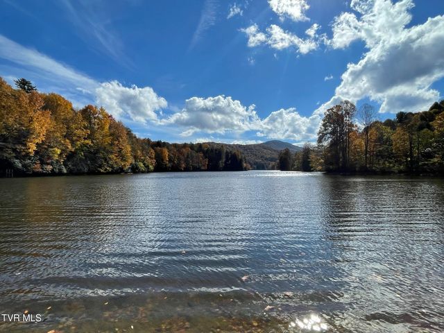 144 Ripshin Lake Road, Roan Mountain, TN 37687