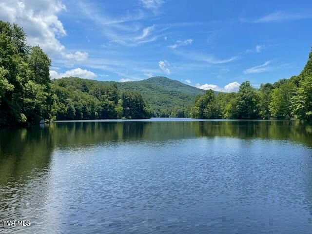 144 Ripshin Lake Road, Roan Mountain, TN 37687