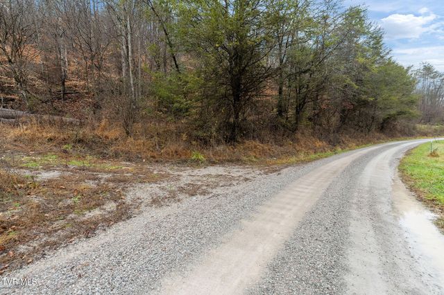 7300 Snake Hollow Road, Sneedville, TN 37869