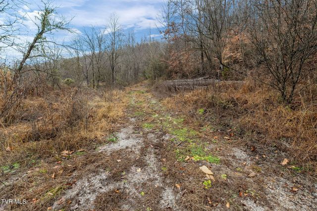 7300 Snake Hollow Road, Sneedville, TN 37869