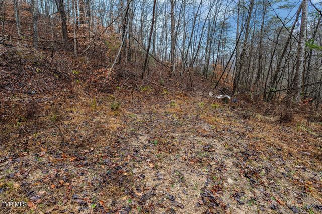 7300 Snake Hollow Road, Sneedville, TN 37869