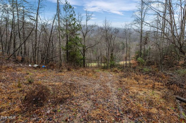7300 Snake Hollow Road, Sneedville, TN 37869