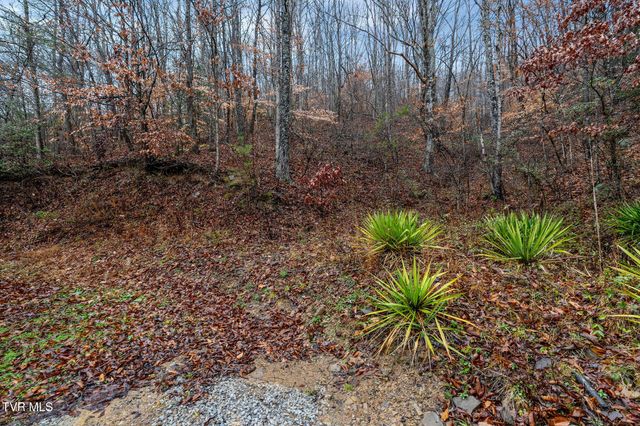 7300 Snake Hollow Road, Sneedville, TN 37869