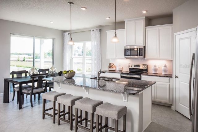 1079 OCEAN LODGE ROAD, Lady Lake, FL 32159