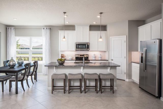 1079 OCEAN LODGE ROAD, Lady Lake, FL 32159