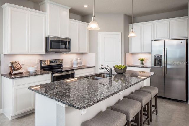 1079 OCEAN LODGE ROAD, Lady Lake, FL 32159