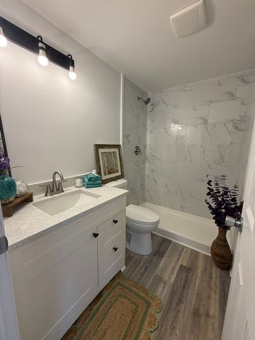 300 Briarbranch Terrace, Matteson, IL 60443