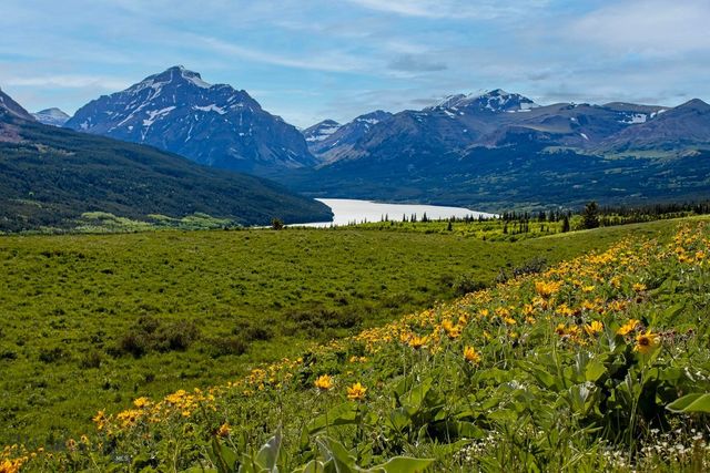 TBD Highway 49, East Glacier Park, MT 59434 property photo