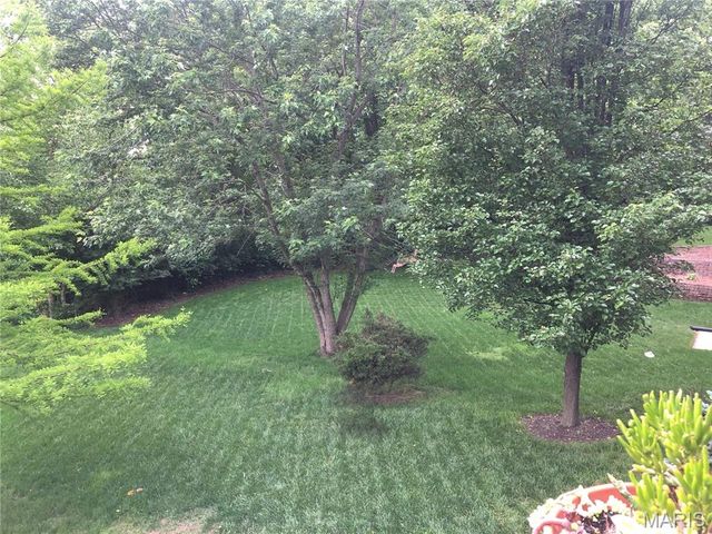 481 Saint Thomas Isle Lane, Wildwood, MO 63040