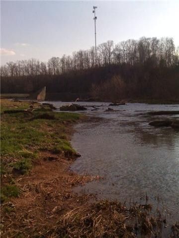 0 Cove Ln, Lawrenceburg, TN 38464